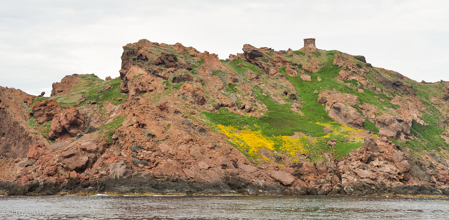 Corsica